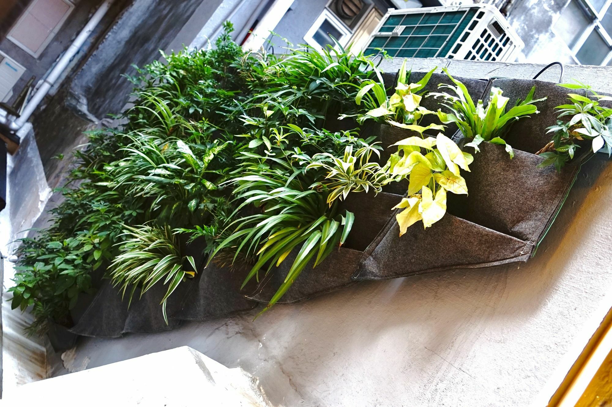 Отель Sleeep Hkg Gough St Гонконг Экстерьер фото